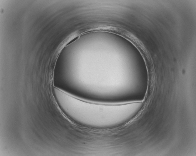 X0000086111377200703231105