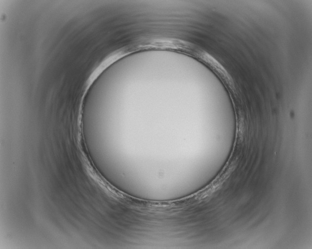 X0000086111378200703231105