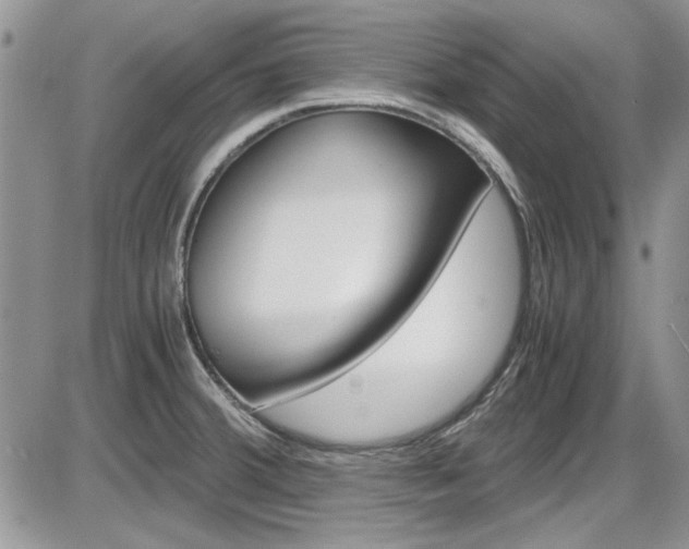 X0000086111380200703231105