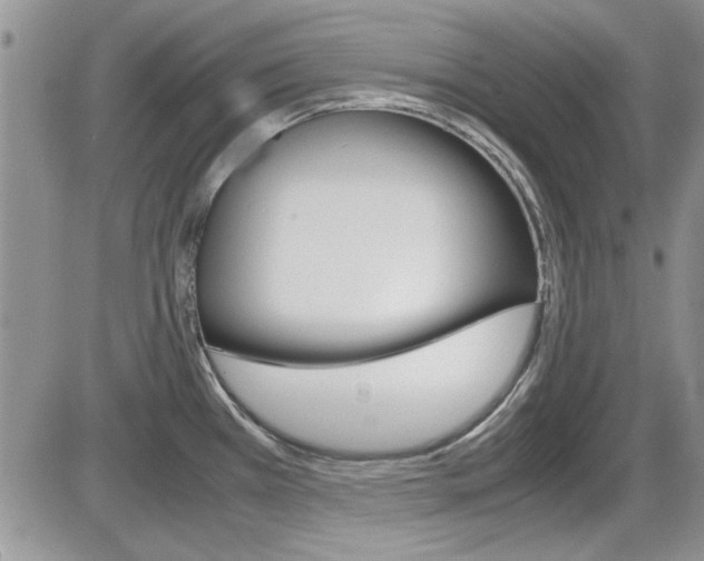 X0000086111385200703231105