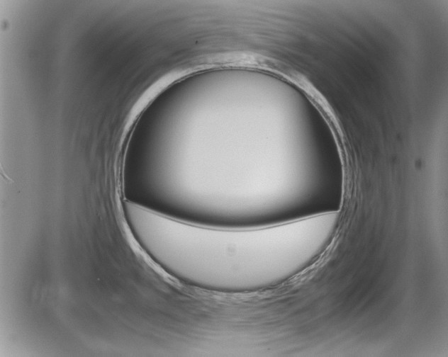 X0000086111389200703231105