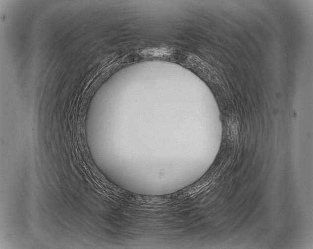 X0000086111393200703231104
