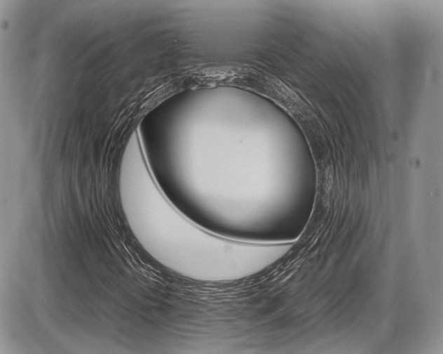 X0000086111394200703231104