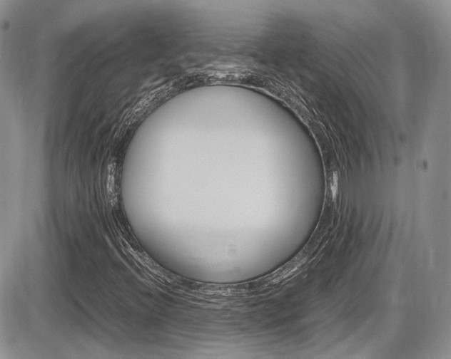 X0000086111396200703231104