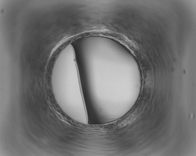X0000086111400200703231104