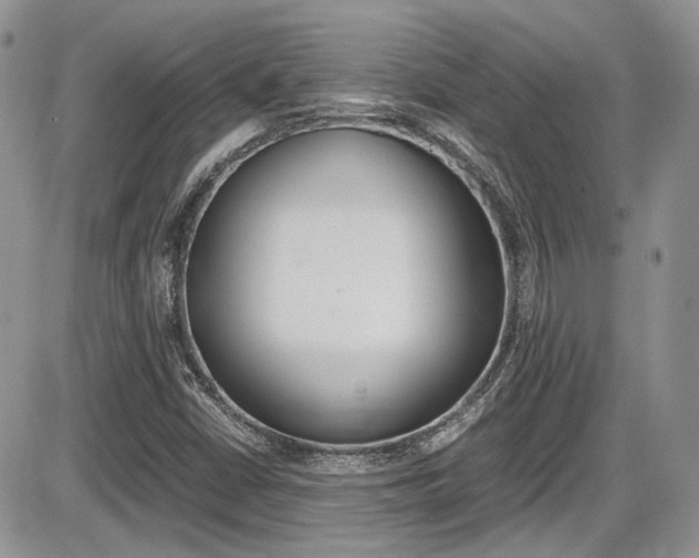 X0000086111402200703231104