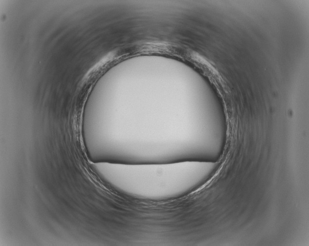 X0000086111403200703231104