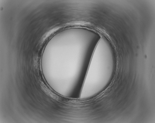 X0000086111404200703231104