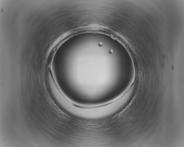 X0000086111410200703231104