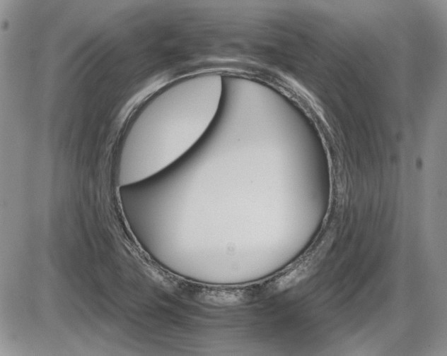 X0000086111411200703231104