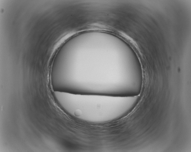 X0000086111415200703231104