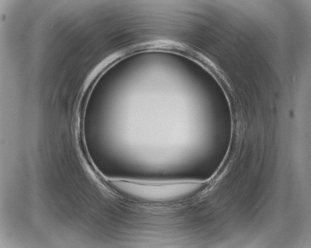 X0000086111418200703231105