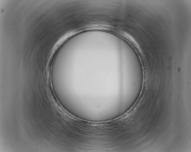 X0000086111419200703231105