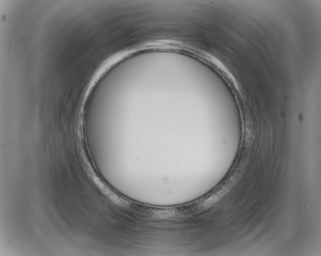 X0000086111421200703231105