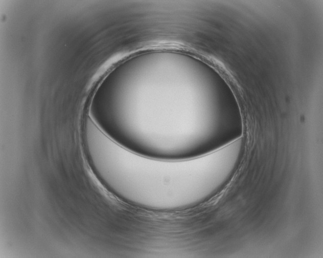 X0000086111422200703231105