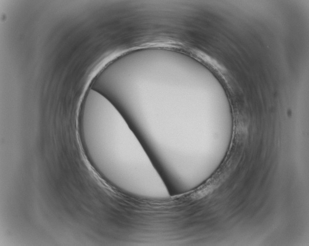 X0000086111423200703231105