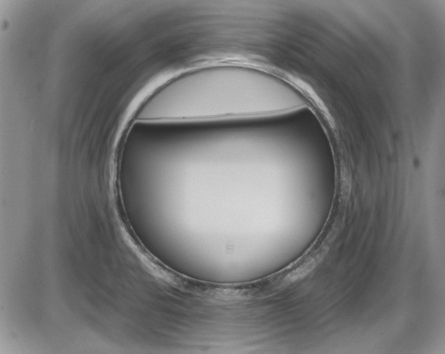 X0000086111424200703231105