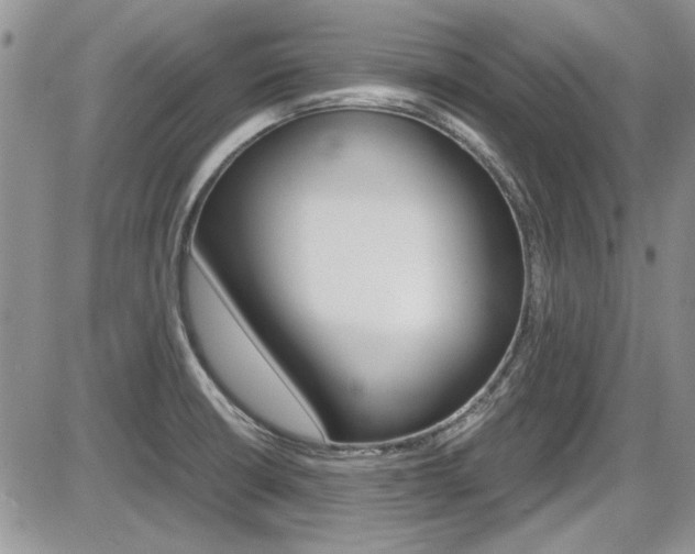 X0000086111426200703231105