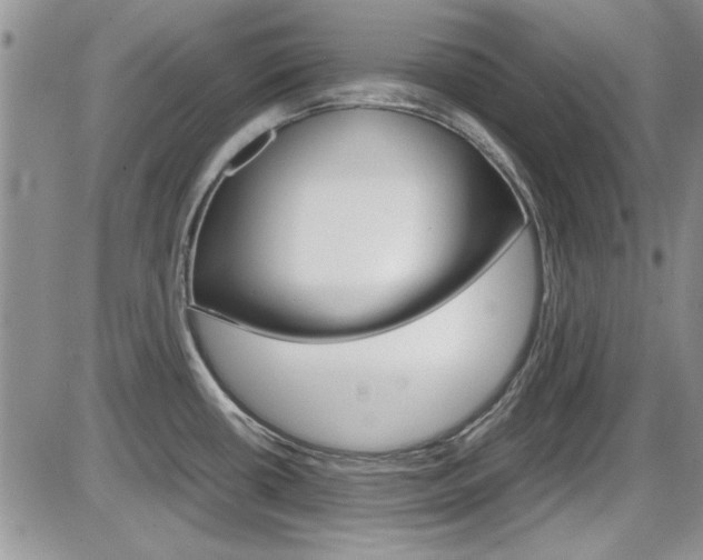 X0000086111434200703231105