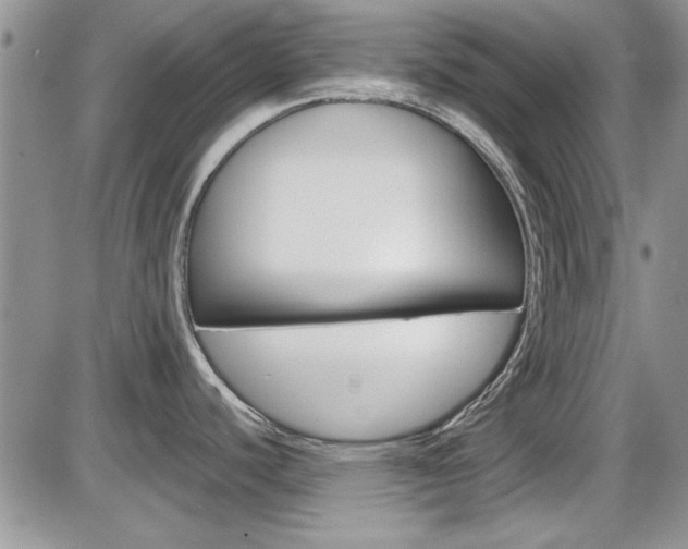 X0000086111440200703231105