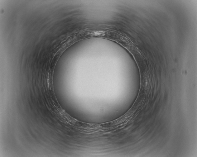X0000086111442200703231104