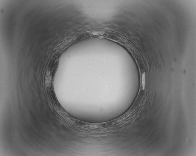 X0000086111443200703231104