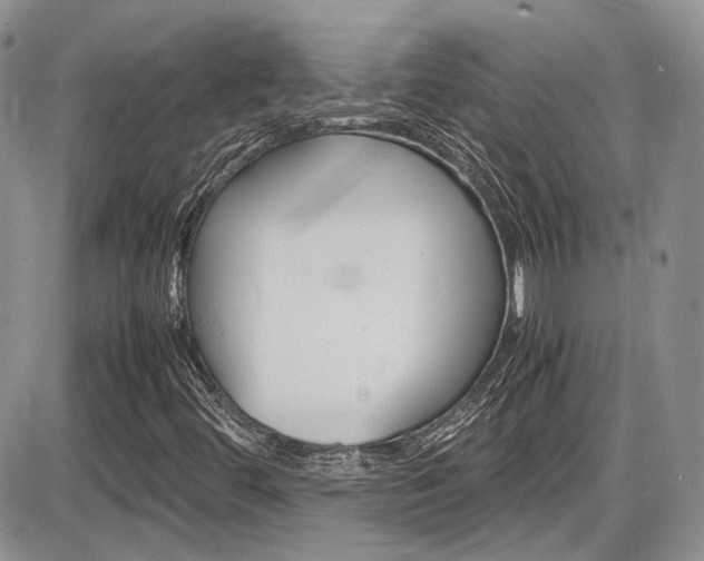 X0000086111444200703231104