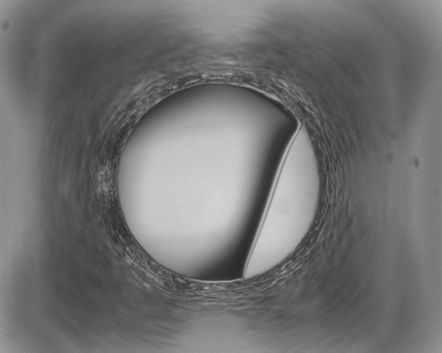 X0000086111445200703231104