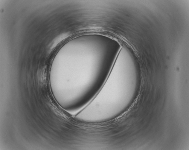 X0000086111450200703231104