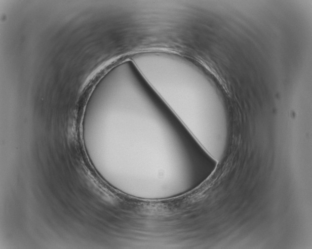 X0000086111452200703231104