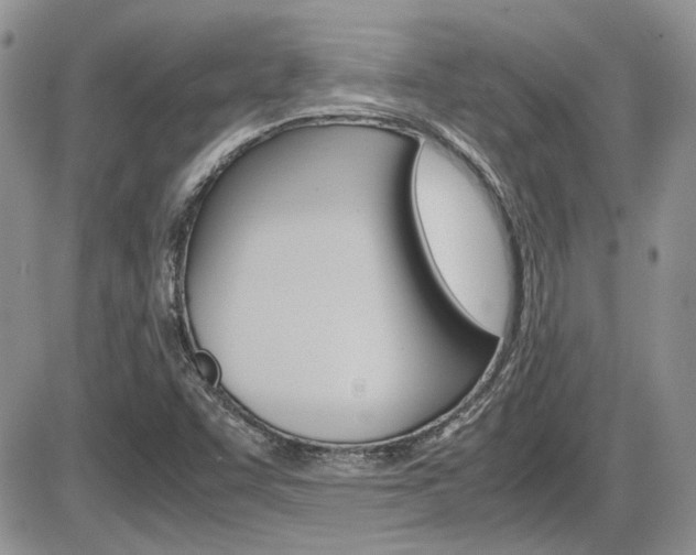 X0000086111455200703231104