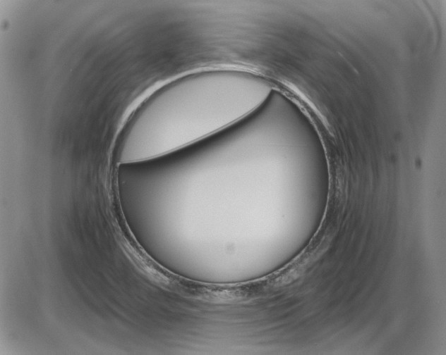 X0000086111460200703231104