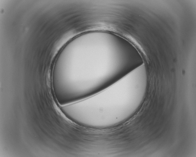 X0000086111468200703231104