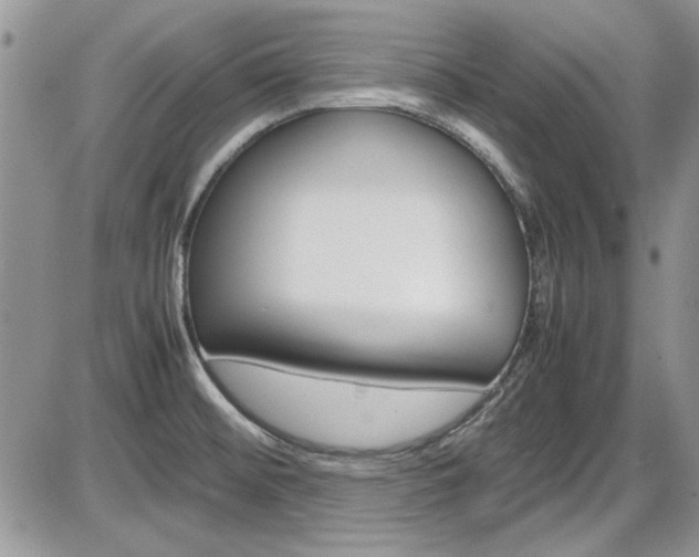 X0000086111476200703231104