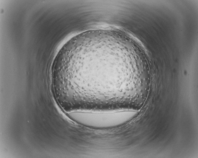 X0000086111479200703231103