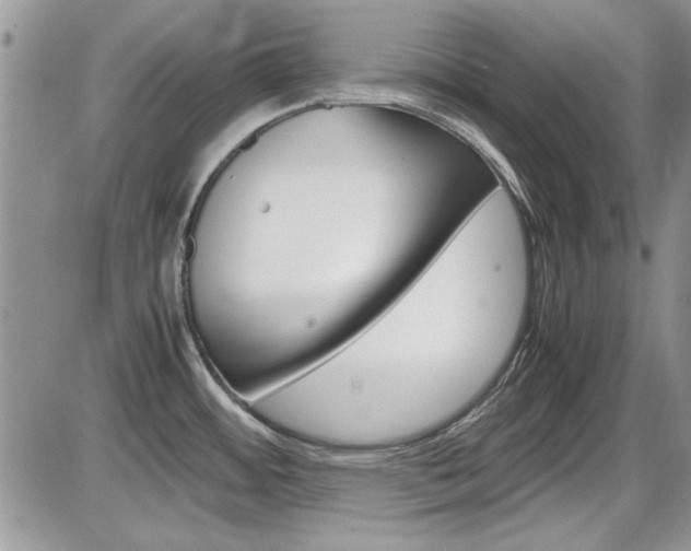 X0000086111484200703231103