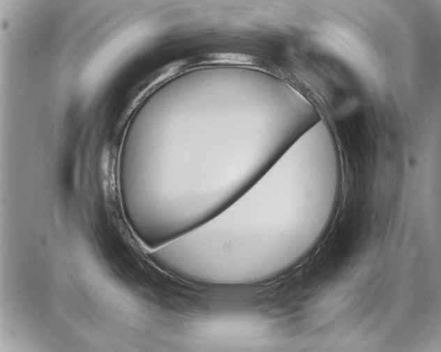 X0000086111487200703231103