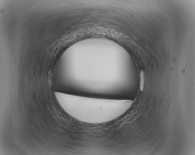 X0000086111491200703231103