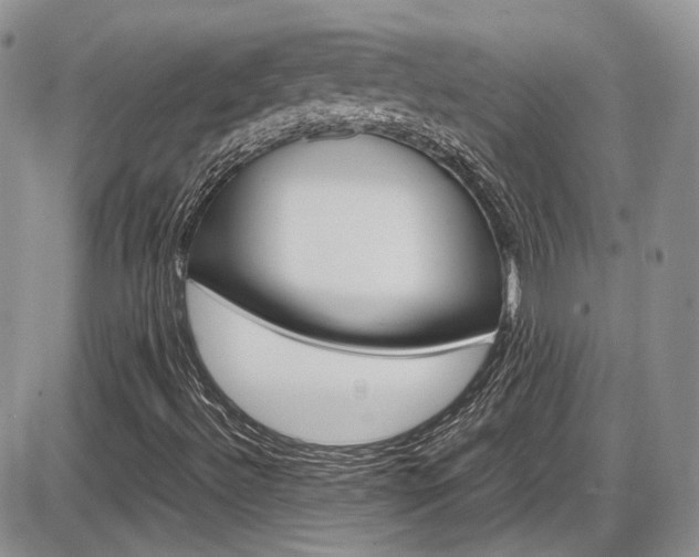 X0000086111492200703231103