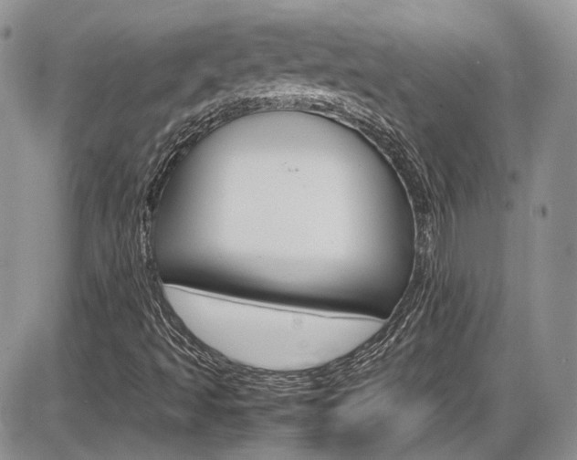 X0000086111493200703231103