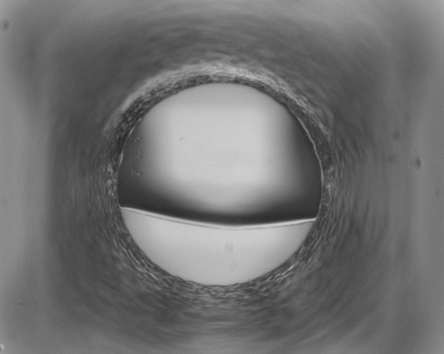 X0000086111495200703231103