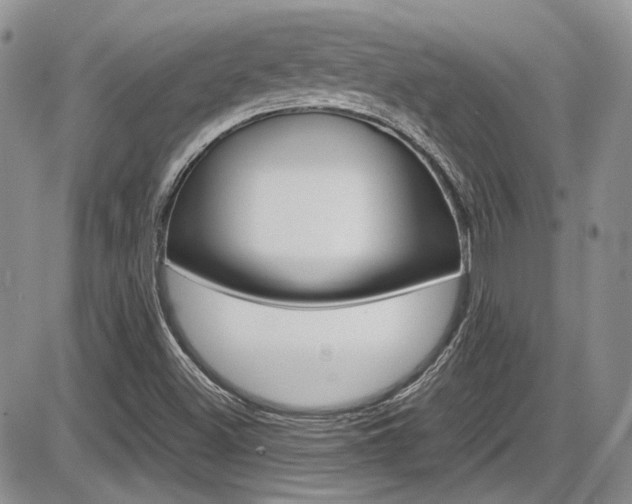 X0000086111500200703231103