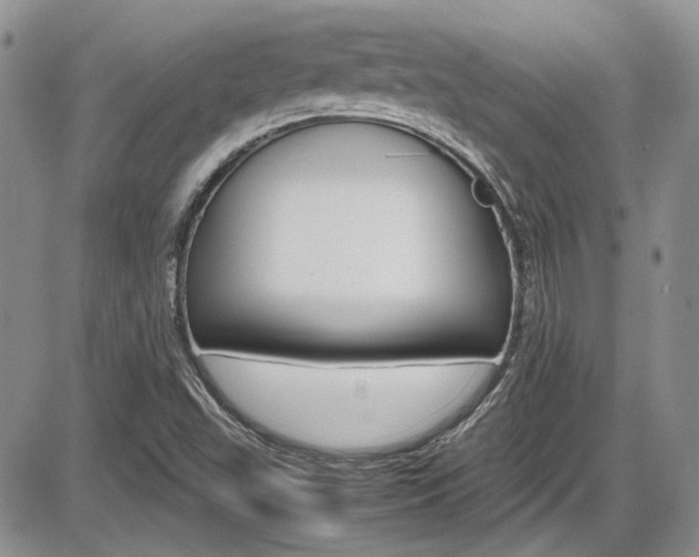 X0000086111503200703231103