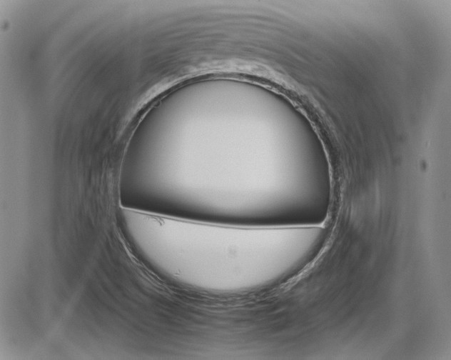 X0000086111505200703231103