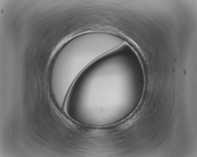 X0000086111506200703231103