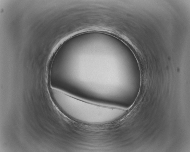 X0000086111508200703231103