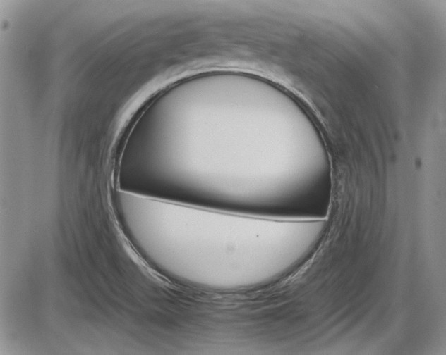X0000086111511200703231103