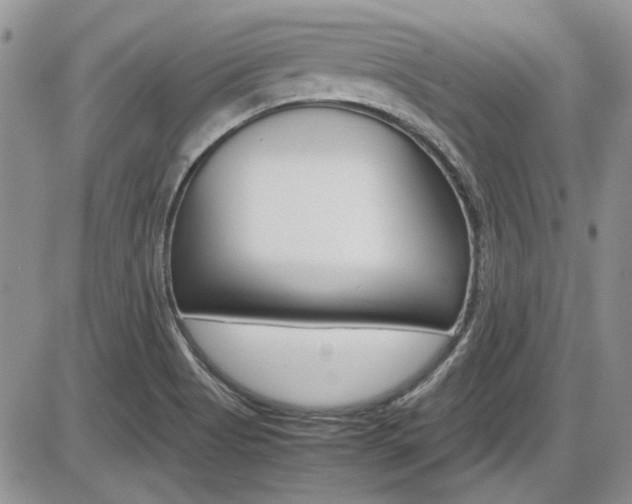 X0000086111513200703231103