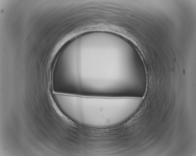 X0000086111515200703231103