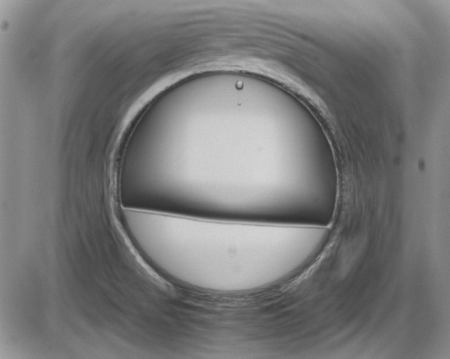 X0000086111517200703231103